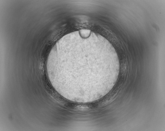 X0000114630749200911171010