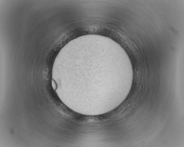 X0000114630750200911171010