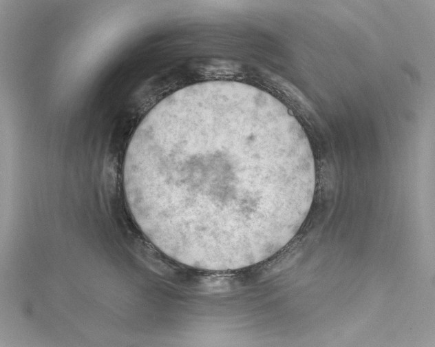 X0000114630761200911171010