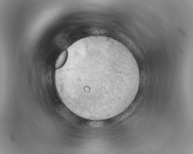 X0000114630762200911171010