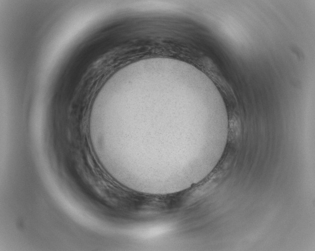 X0000114630765200911171010