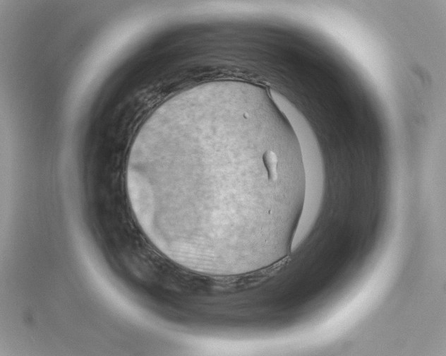 X0000114630766200911171010