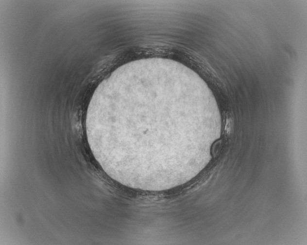 X0000114630771200911171009