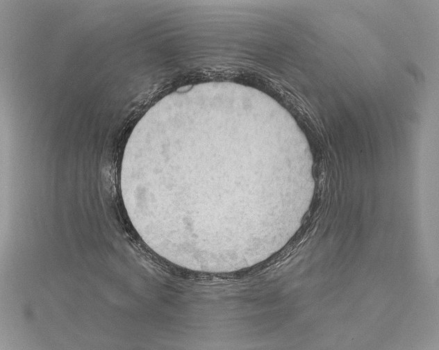 X0000114630772200911171009