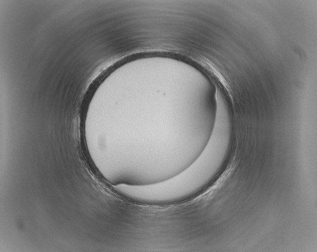 X0000114630781200911171009