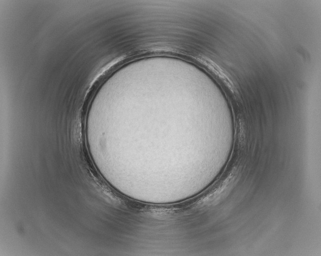 X0000114630782200911171009