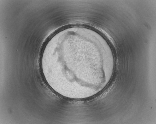 X0000114630783200911171009