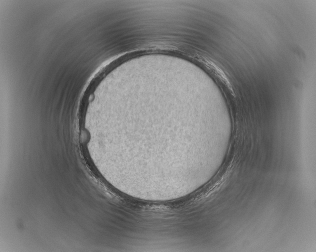 X0000114630784200911171009