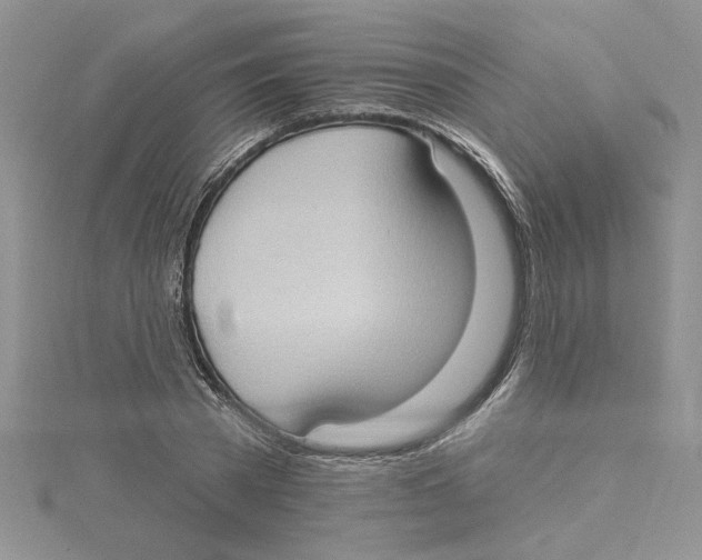 X0000114630785200911171009