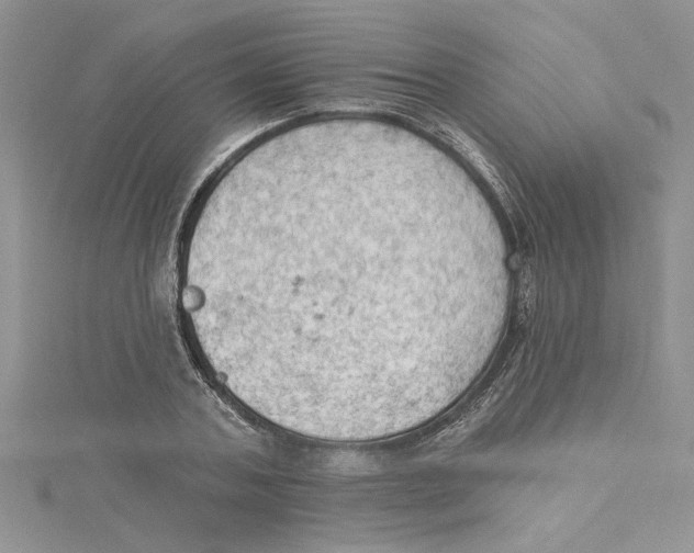 X0000114630787200911171009