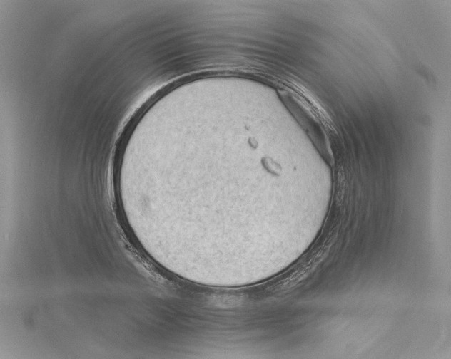 X0000114630788200911171009