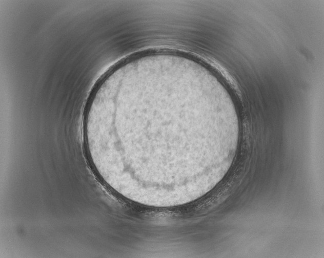 X0000114630791200911171009