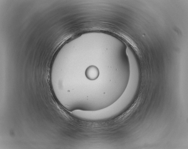 X0000114630793200911171009