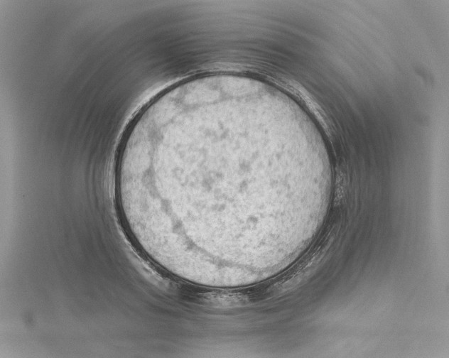 X0000114630795200911171009