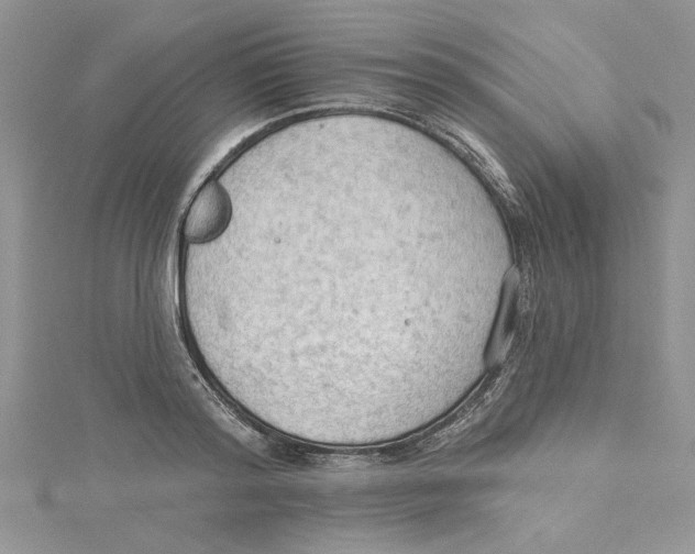 X0000114630796200911171009