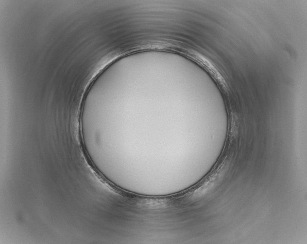 X0000114630802200911171009