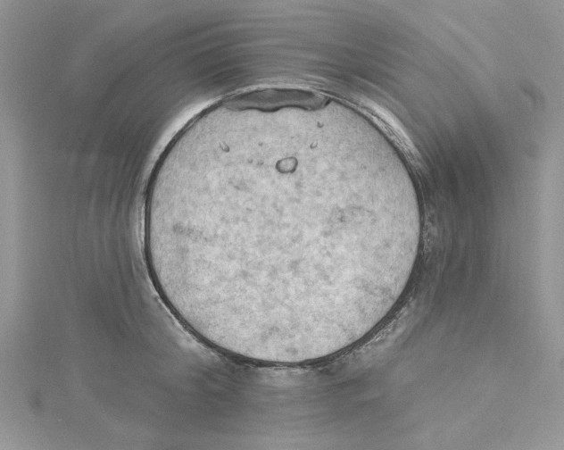 X0000114630804200911171009