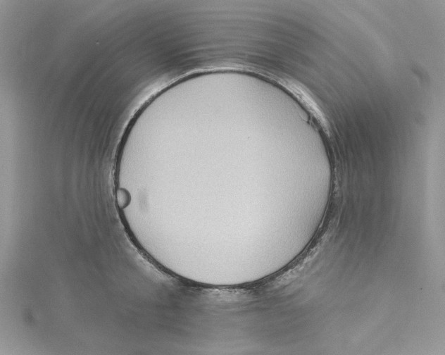 X0000114630805200911171009