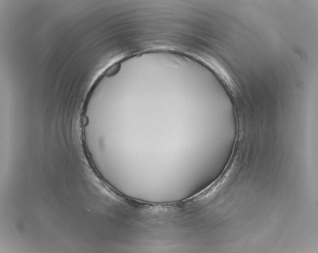 X0000114630806200911171009