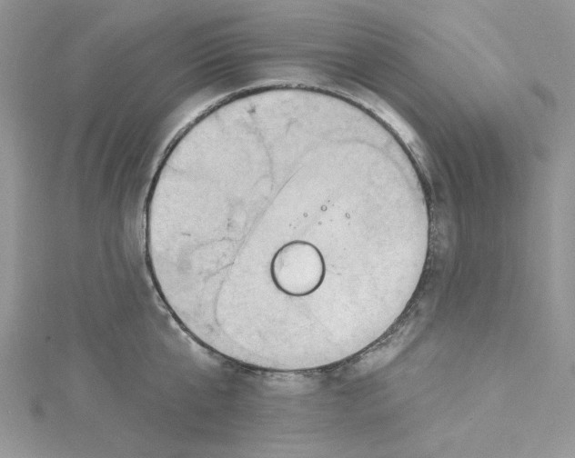 X0000114630807200911171009