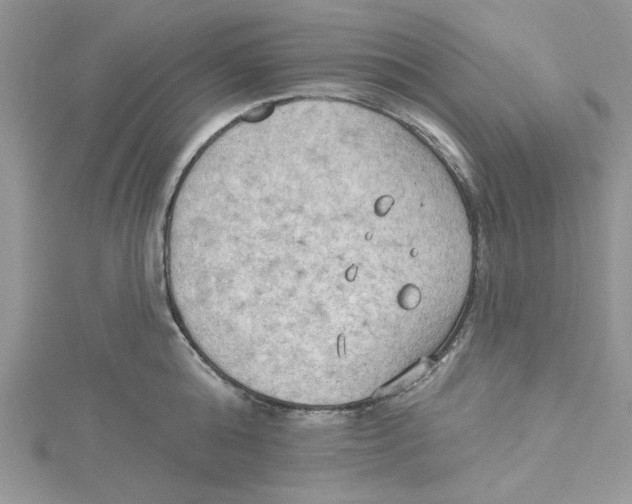 X0000114630808200911171009