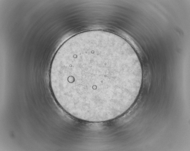 X0000114630810200911171009