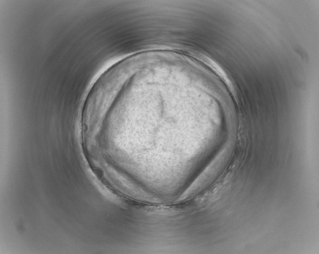 X0000114630811200911171009