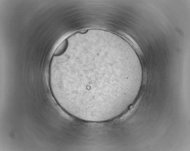 X0000114630812200911171009