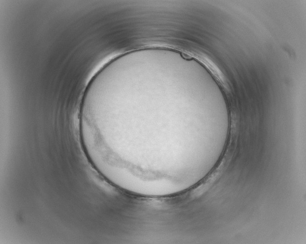 X0000114630814200911171009