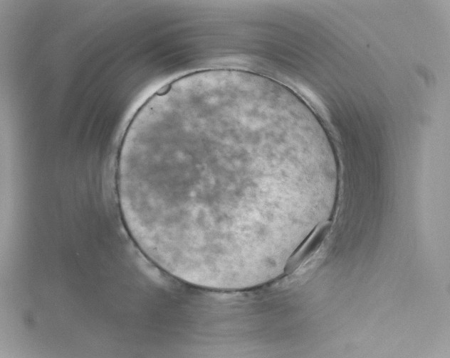 X0000114630816200911171009