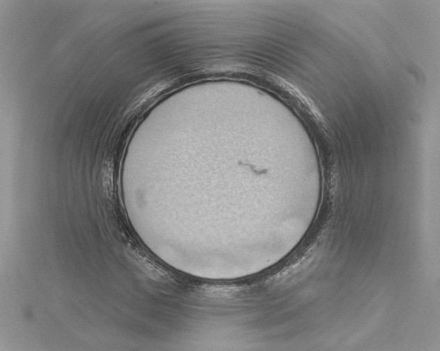 X0000114630825200911171008