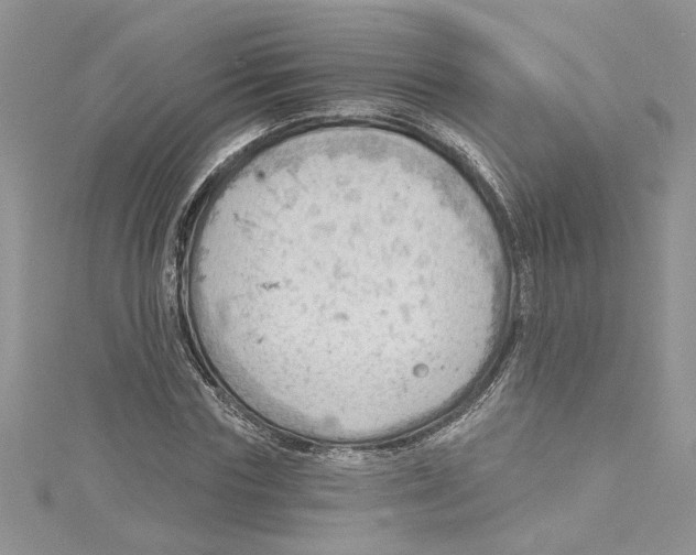 X0000114630827200911171008