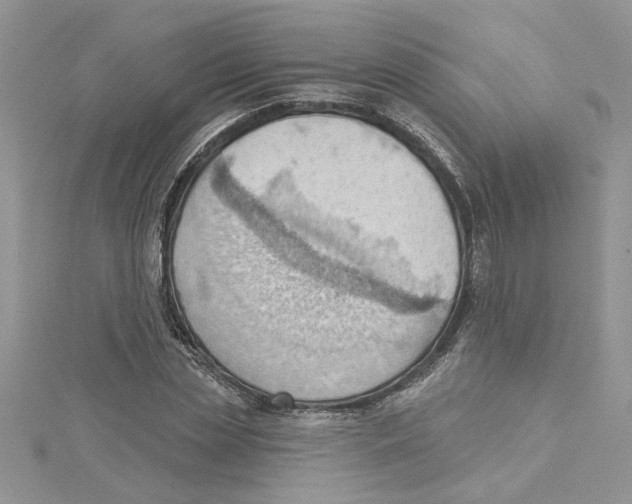 X0000114630829200911171008