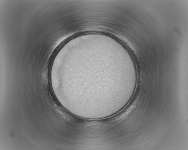 X0000114630830200911171008