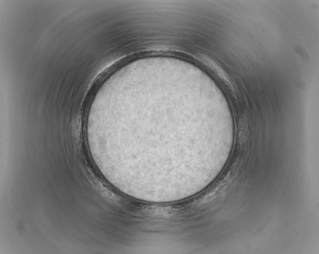 X0000114630831200911171008