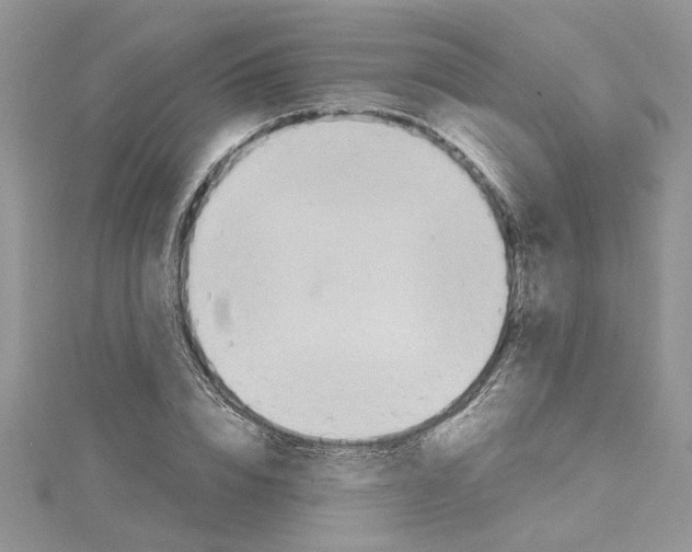 X0000114630832200911171008