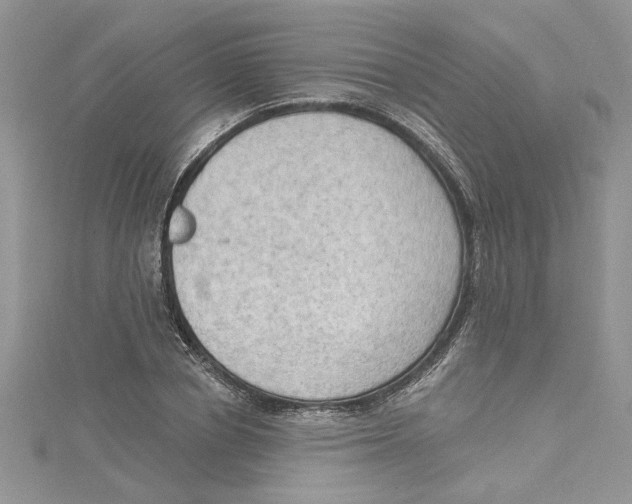 X0000114630834200911171008