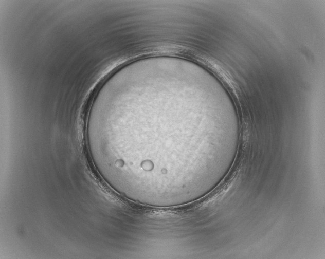 X0000114630835200911171008