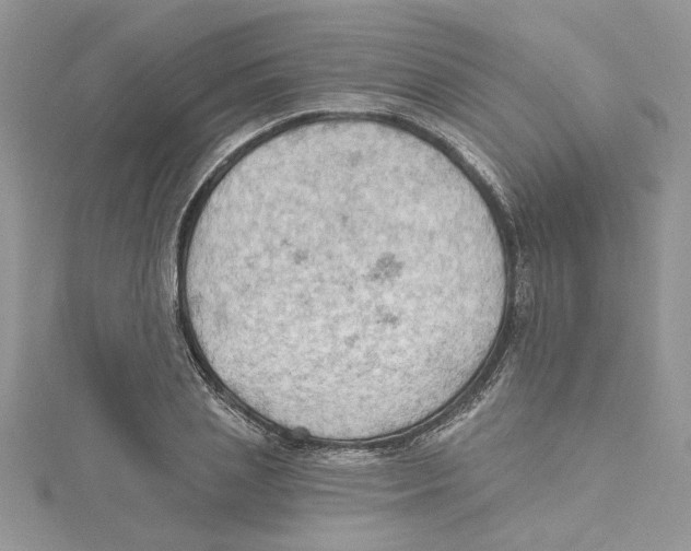 X0000114630837200911171008