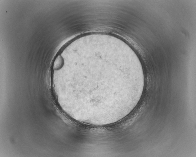 X0000114630838200911171008