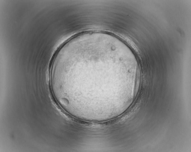 X0000114630839200911171008