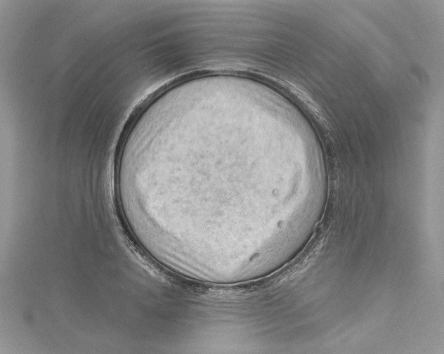 X0000114630840200911171008