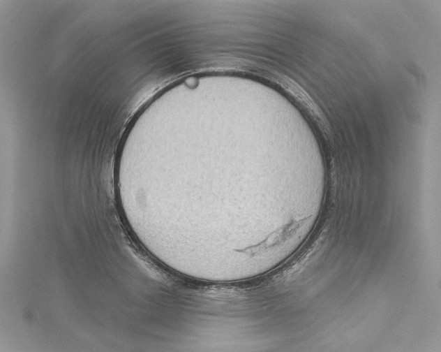 X0000114630842200911171008