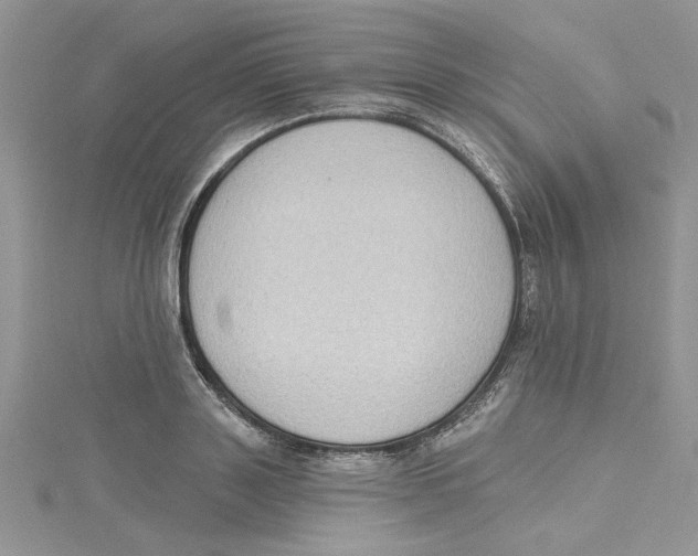 X0000114630843200911171008