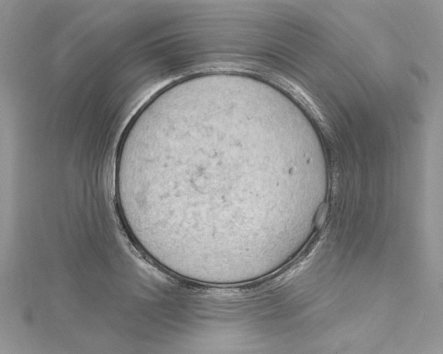 X0000114630844200911171008