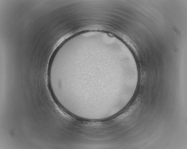 X0000114630845200911171008