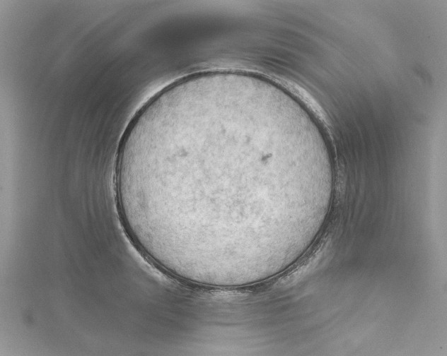 X0000114630847200911171008