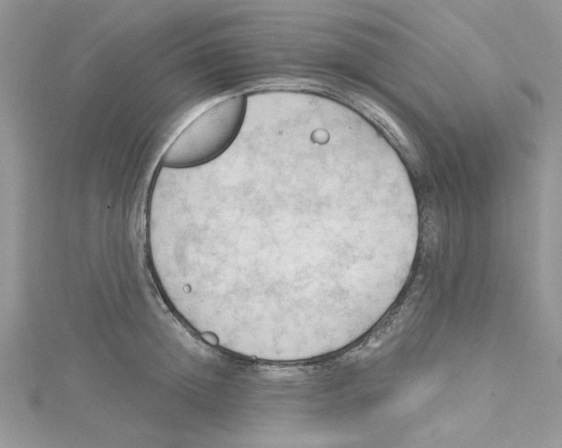 X0000114630852200911171008