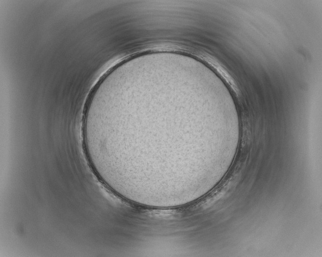 X0000114630853200911171008