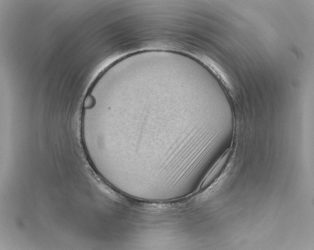 X0000114630854200911171008